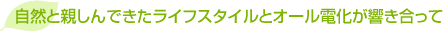 ���R�Ɛe����ł������C�t�X�^�C���ƃI�[���d��������������
