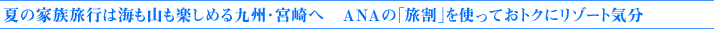 �ẲƑ����s�͊C���R���y���߂��B�E�{��ց@�`�m�`�́u�����v���g���Ă��g�N�Ƀ��]�[�g�C��