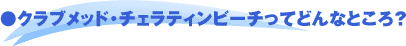 �N���u���b�h�E�`�F���e�B���r�[�`���Ăǂ�ȂƂ���H